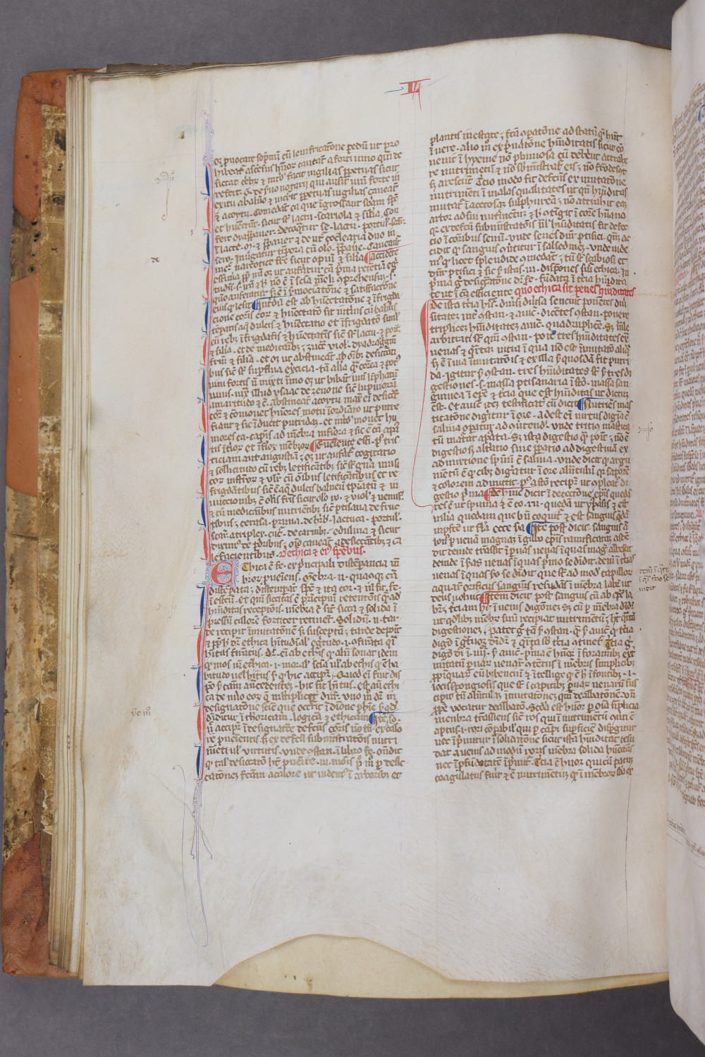 Folio 27 verso